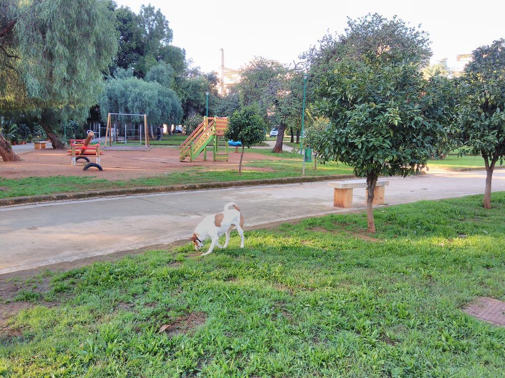 120 Rodionoff Downtown - Connection With Airport And Mondello Beach Palermo Exteriör bild